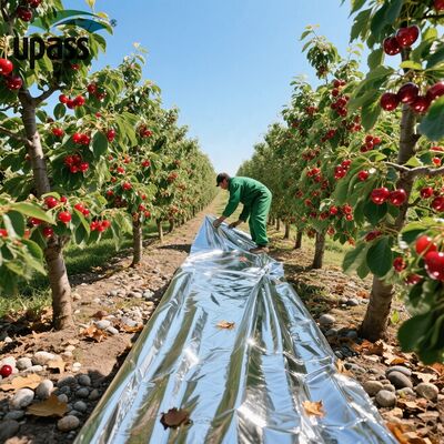 Solar Reflective PET Coated Aluminum Foil Mylar Mulch Film Agriculture Plastic for Solar Energy Projects for Blow Molding