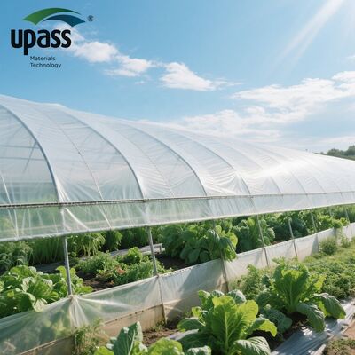تولید مستقیم UF508 ضد UV ضد پیری فیلم گلخانه ای کشاورزی 5000 متر مربع MOQ 100x55x55 سانتی متری رول بلو مولڈنگ برش